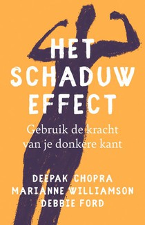 Het schaduw effect