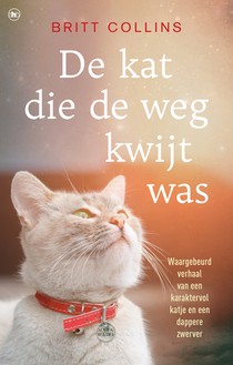 De kat die de weg kwijt was voorzijde