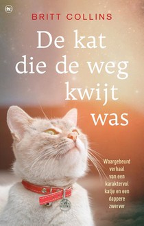 De kat die de weg kwijt was