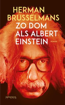 Zo dom als Albert Einstein voorzijde