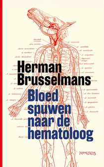 Bloed spuwen naar de hematoloog