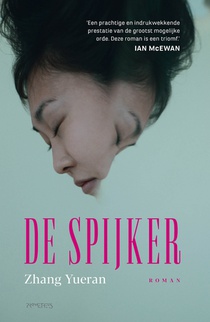 De spijker