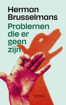 Problemen die er geen zijn voorzijde