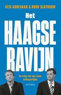 Het Haagse ravijn