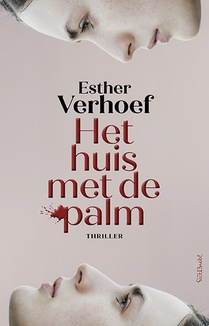 Het huis met de palm