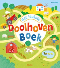 Het leukste doolhovenboek