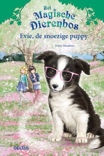 Evie, de snoezige puppy voorzijde