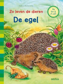 De egel voorzijde