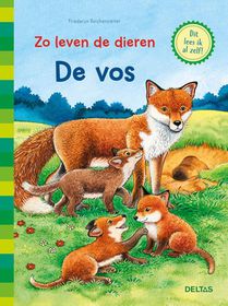 De vos voorzijde