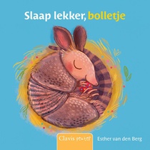 Slaap lekker, bolletje voorzijde