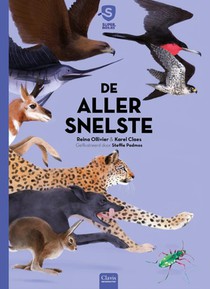 De allersnelste voorzijde