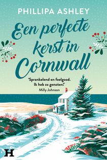 Een perfecte kerst in Cornwall