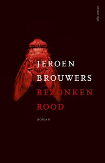 Bezonken rood