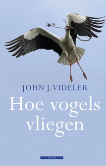 Hoe vogels vliegen