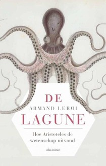 De lagune