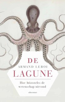 De lagune
