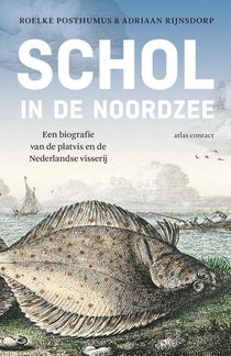 Schol in de Noordzee voorzijde