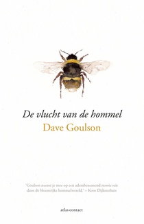 De vlucht van de hommel