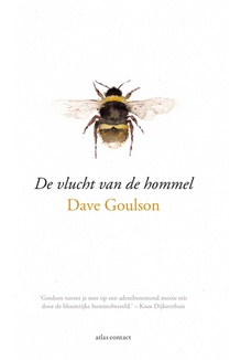 De vlucht van de hommel