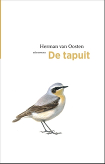 De tapuit voorzijde