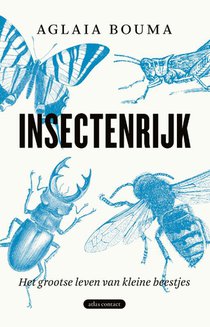 Insectenrijk