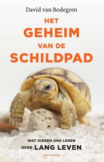 Het geheim van de schildpad voorzijde