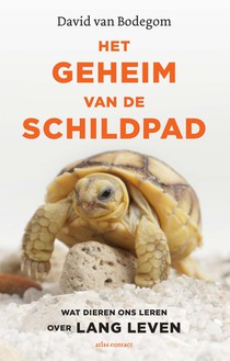 Het geheim van de schildpad voorzijde