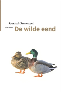 De wilde eend voorzijde