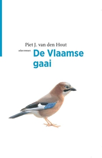 De Vlaamse gaai