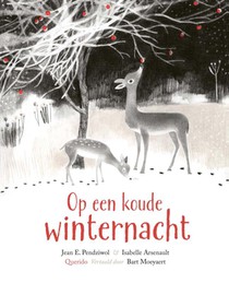 Op een koude winternacht voorzijde