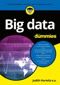 Big data voor Dummies voorzijde