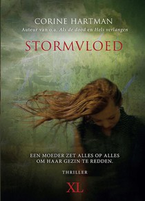 Stormvloed