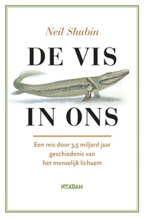 De vis in ons voorzijde