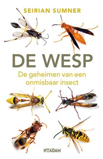 De wesp voorzijde