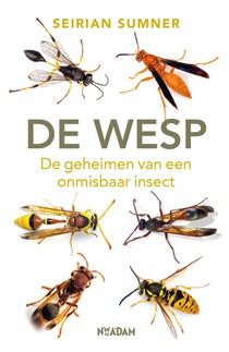 De wesp voorzijde