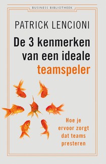 De 3 kenmerken van een ideale teamspeler voorzijde