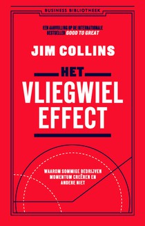 Het vliegwieleffect