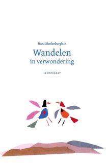 Wandelen in verwondering voorzijde