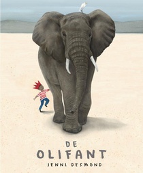 De olifant voorzijde