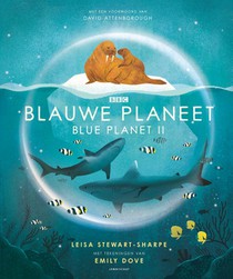 Blauwe planeet voorzijde