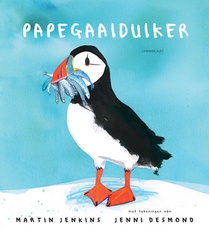 Papegaaiduiker voorzijde