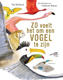 Zo voelt het om een vogel te zijn voorzijde