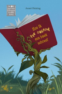 Hoe ik per ongeluk een boek schreef voorzijde