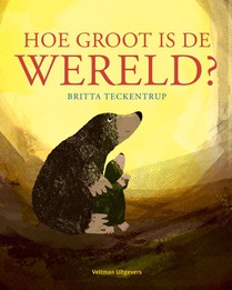 Hoe groot is de wereld?