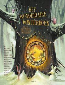 Het wonderlijke winterboek voorzijde