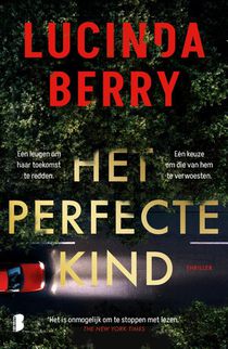 Het perfecte kind