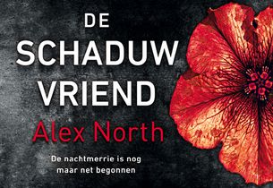 De schaduwvriend