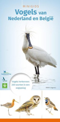 Minigids vogels van Nederland en België