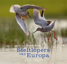 Steltlopers van Europa voorzijde