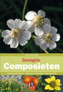 Basisgids composieten voorzijde